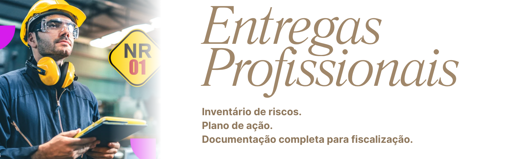 Entregas Profissionais NR-1